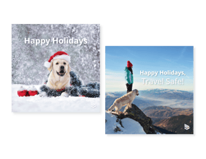 Holiday Organic Social Ads