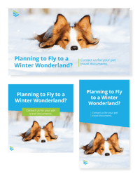 Holiday Paid Social Ads