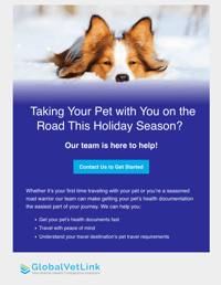 Holiday Travel Promo Email