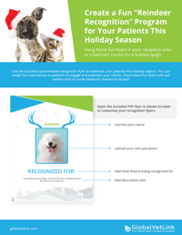 Instructions Reindeer Recognition Flyer