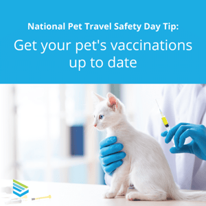 pet-travel-safety-tip-1-thumbnail