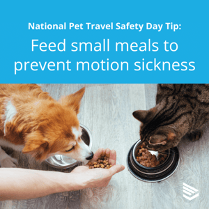 pet-travel-safety-tip-12-thumbnail