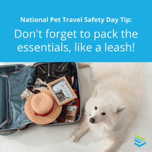 pet-travel-safety-tip-14-thumbnail