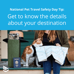 pet-travel-safety-tip-2-thumbnail