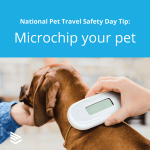pet-travel-safety-tip-6-thumbnail
