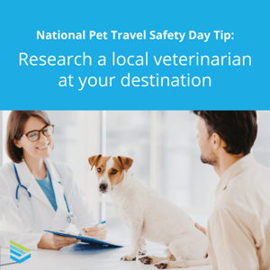pet-travel-safety-tip-9-thumbnail