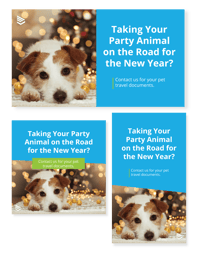 New Year Paid Social Ads