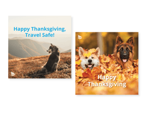 Thanksgiving Organic Social Ads