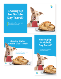 Thanksgiving Paid Social Ads