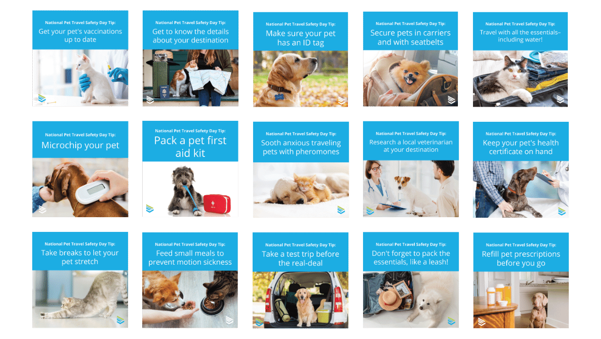 social-media-package-download